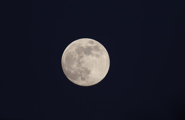 The magnificent Flower Moon of May 2020 seen from Hertford, UK.