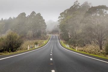 A lonesome road leading through the Kosciuszko national park in the Snowy Mountains, a part of the Australian alps, during a cloudy day in summer.