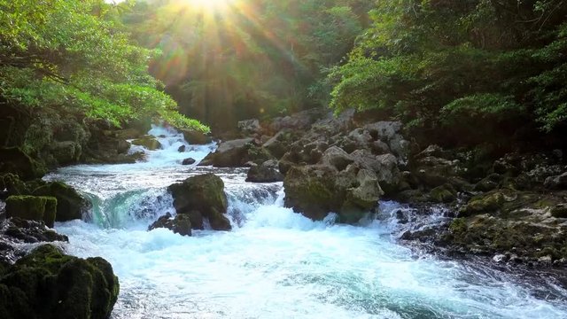 Sun shines on the clear river in the valley, the stream in the deep forest