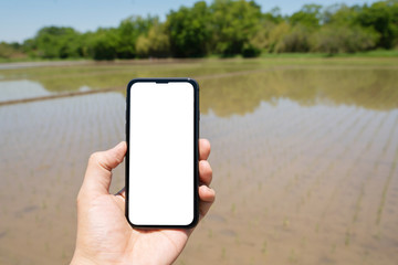スマートフォン　イメージ