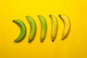 green to yellow banana in maturing process fruit food background