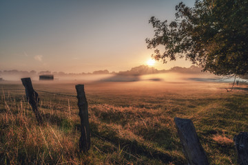 sunrise over the field