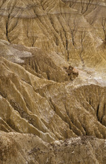 Parc de la Rwindi, Parc National des Virunga , République démocratique du Congo