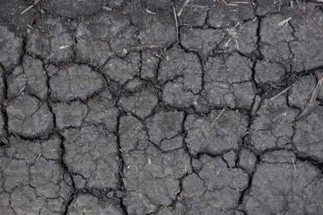 The texture of dried earth from a lack of moisture