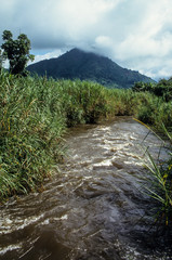 Parc National des Virunga, République démocratique du Congo