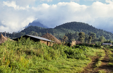 Parc National des Virunga, République démocratique du Congo
