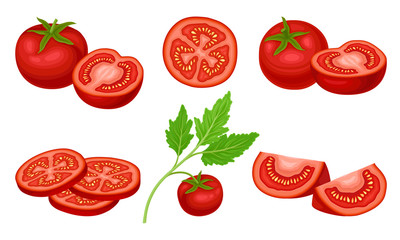 Ripe Red Tomato Vegetable Whole and Sliced Showing Juicy Flesh with Small Yellow Seeds Vector Set