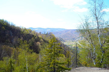 Silhouette of mountains in the early misty morning. View of the mountain slopes in early spring. Beautiful nature landscape. Carpathian mountains. Ukraine