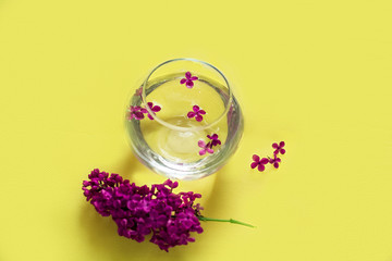 Obraz na płótnie Canvas purple lilac in a round vase, round vase with water, glass round vase, purple lilac on a yellow background, purple lilac, branch of lilac