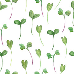 watercolor hand drawn seamless pattern micro green arugula cabbage corundum coriander radish amaranth mustard beetroot sprouts for healthy organic diet leaves food vitamins for vegan vegetarian diet