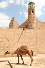 Khiva en Ouzbékistan