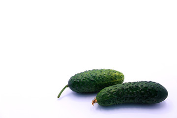 Photo of young cucumbers on a white background, close-up.