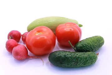 Tomatoes, cucumbers, radishes and zucchini on a white background, close-up