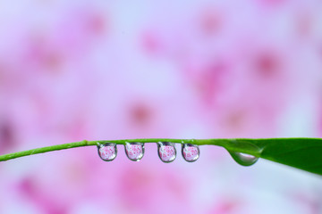 Natural water droplets on the background