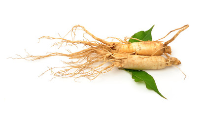  ginseng isolated on white background