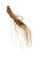  ginseng isolated on white background