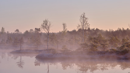 Misty Autumn morning in a marsh lake and trees near the lake