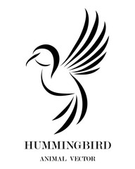 black line art Vector illustration on a white background of flying hummingbirds. Suitable for making logos.