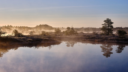 Misty Autumn morning in a marsh lake