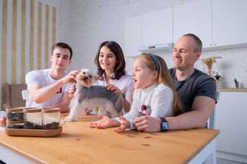 family with a dog plays in the kitchen light