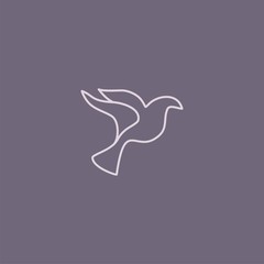 Premium Bird logo with modern concept