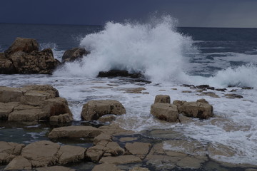 Lokrum, Insel bei Dubrovnik, Region Dalmatien in Kroatien