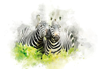 Two zebras standing next to each other hugging. Perfect painting for posters. © koolander