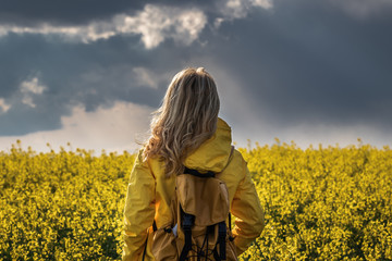 Storm and rain is coming. Hiking woman standing in rapeseed field and looking at cloudy sky....