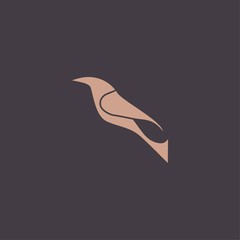 Premium Bird logo with modern concept