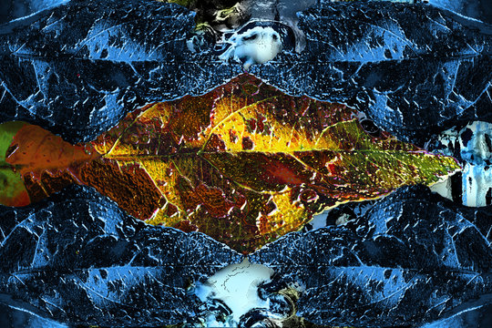 Ilustración 3d de un pez de colores en el fondo del mar. Fondo marino de fantasía. Fondo en relieve hecho a partir de una imagen de hoja de manzano.