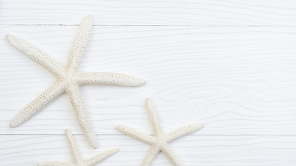 close up of starfish on white wooden background