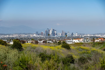 LA Skyline