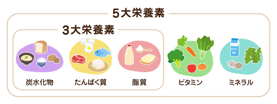炭水化物 Stock Photos And Royalty Free Images Vectors And Illustrations Adobe Stock 炭水化物 Stock Photos And Royalty Free Images Vectors And Illustrations Adobe Stock