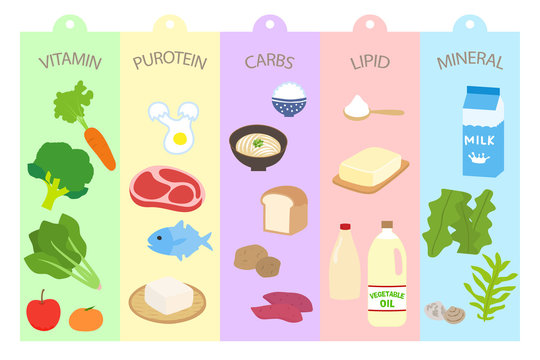 栄養バランス別に色分けして並べた食材のベクターイラスト

