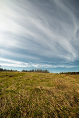 clouds landscape at summer day