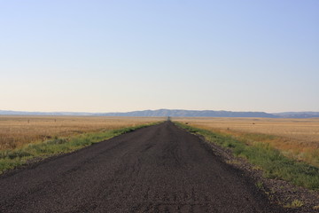 Fototapeta na wymiar Empty dusty road in the steppe