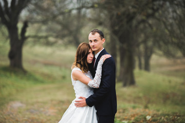 Romantic, fairytale, happy newlywed couple hugging and kissing in a park, trees in background