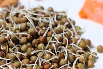 healthy summer salad with black pea sprouts, carrots and dry fruits, macrobiotic food