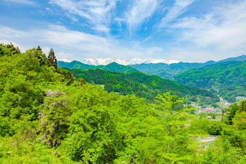 Naklejka premium 新緑と北アルプス・中央に白馬三山が見えます、長野県長野市鬼無里にて