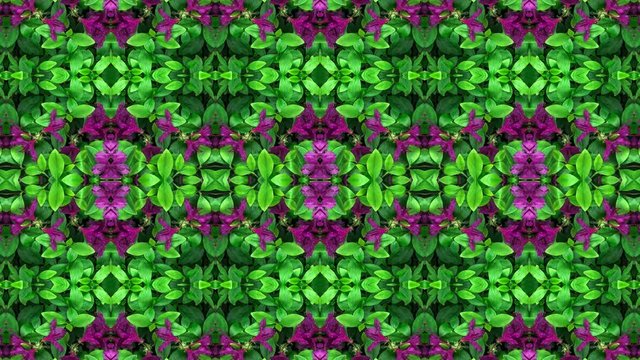 4K. Abstract kaleidoscopic detailed pattern with fresh green leaves. Animated summer floral background. Delicious visual textures for a perfect introduction.
