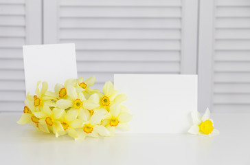 Closeup of yellow daffodil flower in the vase over white shutters background. Clean scandinavian style decoration.