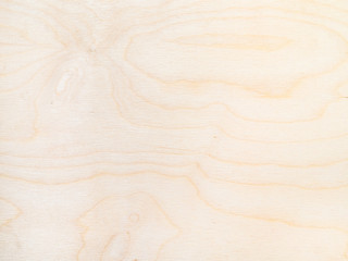 wooden background - surface of plywood from natural birch tree