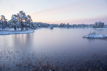 Winter sunrise and frozen marsh lake with frosted forest near the lake