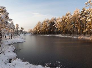 Winter sunrise and frozen marsh lake with frosted forest near the lake