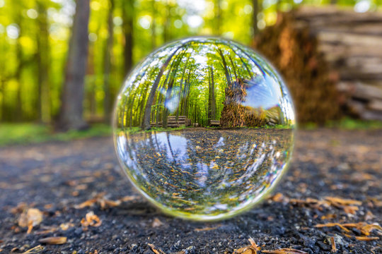 Glaskugel Crystal ball liegt im Wald auf dem Waldweg Durchblick nicht verdreht