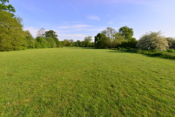 Emlyn Meadows in Horley, Surrey.