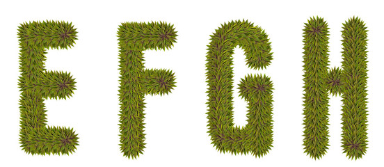 Letters E,F,G,H made from natural leaves on a white isolated background. Natural font