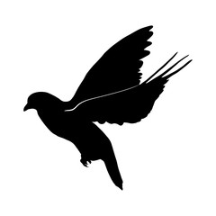 black silhouette of flying dove. symbol of peace. Isolated on white background. Hand drawn