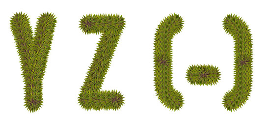 Letters Y,Z made from natural leaves on a white isolated background. Natural font