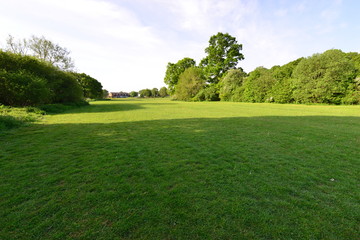 Fototapeta na wymiar Emlyn Meadows in Horley, Surrey.